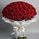 Букет 101 Красная роза Блэк Мэджик в Павловском Посаде