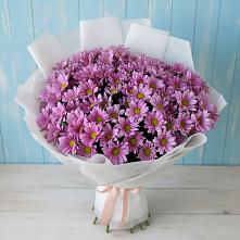 Букет цветов из:  Хризантемы #REPLACE_PRED# Павловском Посаде