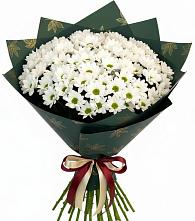 Букет цветов из:  Хризантемы в Павловском Посаде