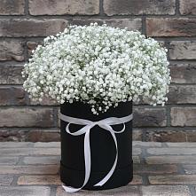 Цветочная композиция из Гипсофила в шляпной коробке в Павловском Посаде