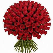 Букет Красные розы Чери Лав в Павловском Посаде