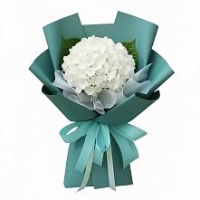 Букет цветов из:  Гортензия в Павловском Посаде